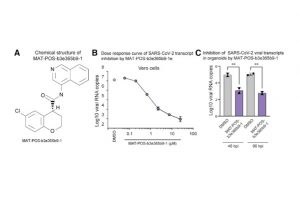 An experimental paper from the COVID Moonshot consortium—a collaboration involving Folding@home to discover new SARS-CoV-2 antivirals—shows that a compound discovered with the help of Folding@home is effective in suppressing the eplication of SARS-CoV-2.
